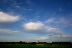 flickr-2942865998-original